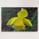 Recherche de jonquilles puzzles Fleurs