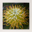 Recherche de exotique puzzles Unique
