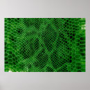 Recherche de peau de serpent posters Motif