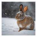 Recherche de lapin mignon posters Doux