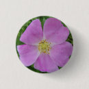 Recherche de rosa badges Roses