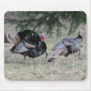 Zoek naar turkey muismatten Natuur