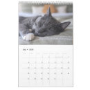 Recherche de de chat calendriers Des murs