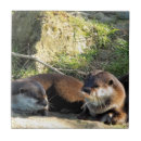 Zoek naar otter tegels Natuur