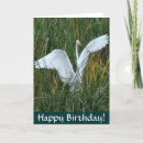 Recherche de furet anniversaire cartes Heureux