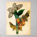 Recherche de nymphe posters Fleurs