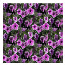 Recherche de pétunia posters Vert