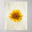 Recherche de tournesol art Floral