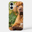 Recherche de yeux de chien iphone coques Canines