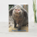 Recherche de fête des pères cartes Porc