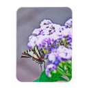 Recherche de cacher magnete Fleur