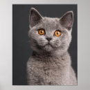 Zoek naar maanden posters Schattig