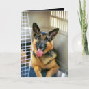 Recherche de chien policier vœux cartes Berger allemand