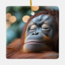 Recherche de orang outan ornements Singe
