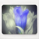 Recherche de bleu fleur tapis souris Mother