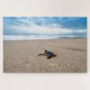Recherche de tortue mignonne puzzles Océan