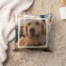 Recherche de golden retriever coussins Animal