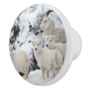 Recherche de mouton boutons et poignées de porte Animaux