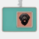 Zoek naar labradoodle ornamenten Hond
