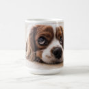Recherche de cavalier king charles spaniel tasses Chien