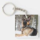 Recherche de berger porteclés Animal