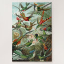 Recherche de hummingbird puzzles Birds