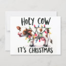 Recherche de vaches drôles cartes postales Laitier