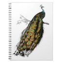 Recherche de paon vintage carnets Oiseau