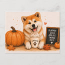 Recherche de akitas cartes postales Chien akita