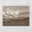 Recherche de mormon cartes postales Montagne