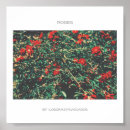 Recherche de rouge de fleur posters Jardin
