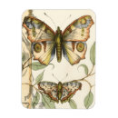 Recherche de papillon vert magnets Animaux