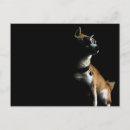 Recherche de shiba cartes postales Inu