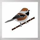 Recherche de oiseaux chanteurs posters Pour eux