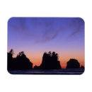 Recherche de shi magnets Plage