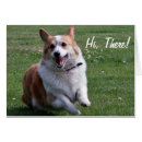 Recherche de rassemblements photographie Chien