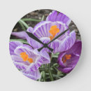 Recherche de printemps horloges Crocus
