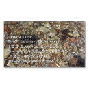 Recherche de pierre naturelle cartes visite Rocher