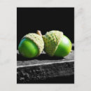 Recherche de ensemble cartes postales Vert