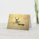 Zoek naar muilezels kaarten Bok