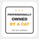Recherche de citation drôle de chat autocollants Chaton