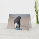 Recherche de phoebe vœux cartes Oiseau