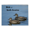 Recherche de canards bureau fournitures Faune