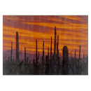 Recherche de cactus saguaro planches à découper Arizona