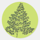 Recherche de végétation autocollants Vert