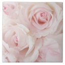 Recherche de bouquet rose carreaux Roses roses roses