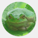 Recherche de grenouille heureuse autocollants Vert