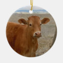 Recherche de animaux de ferme ornements Cowboy