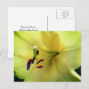 Recherche de jaune pâle cartes postales Fleur
