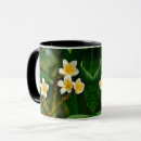 Zoek naar frangipani mokken Plumeria